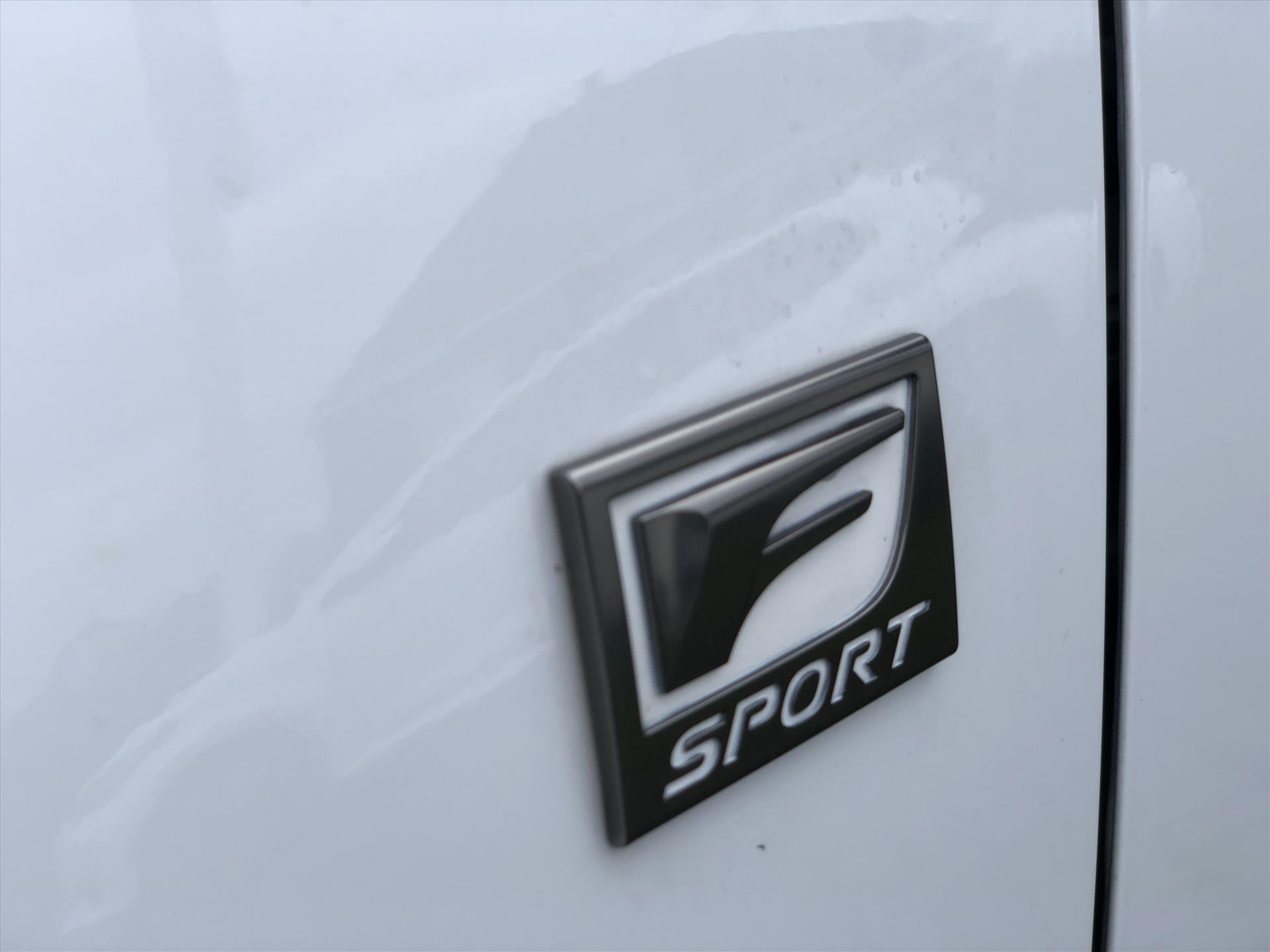 41971685-1.jpg