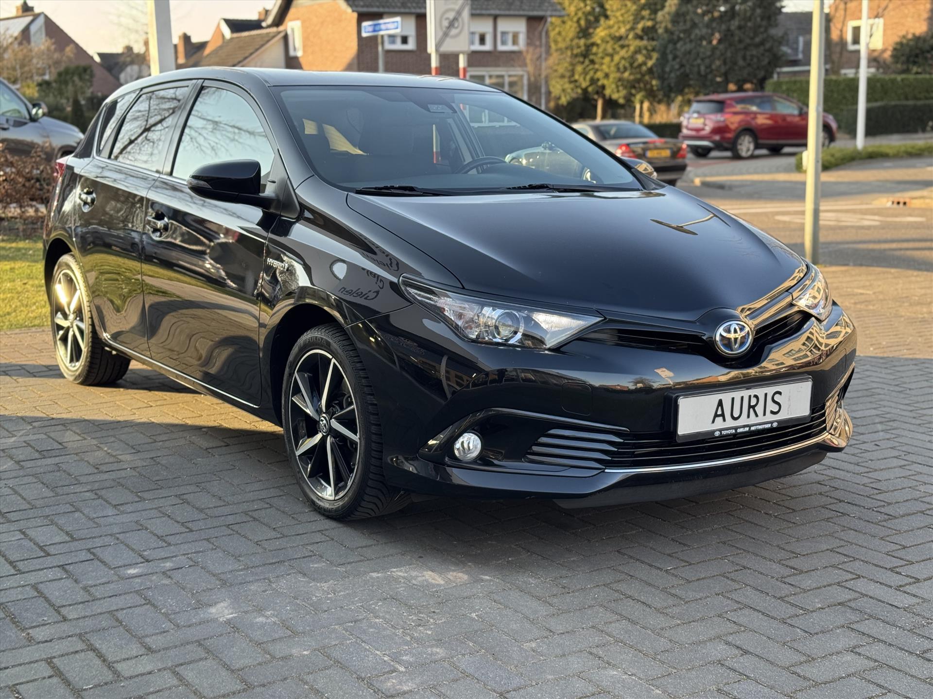 43580481-5.jpg