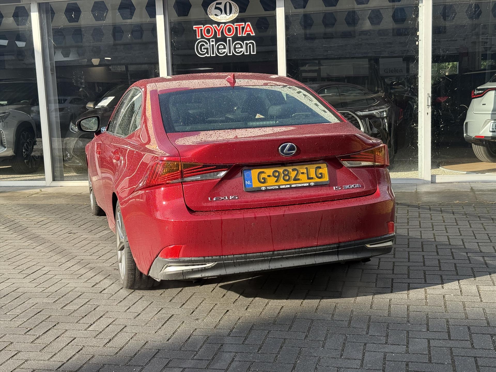 46206960-9.jpg