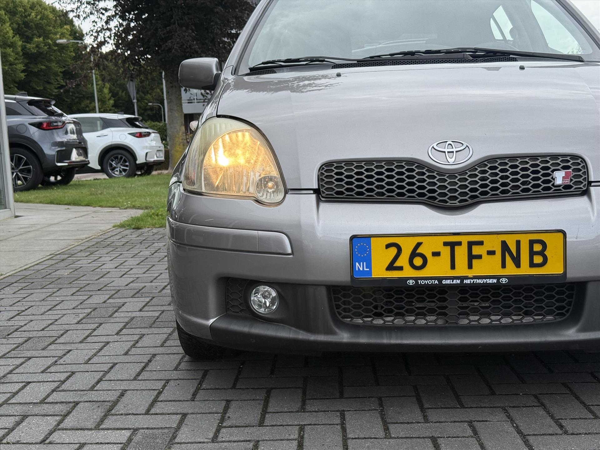 46441251-8.jpg