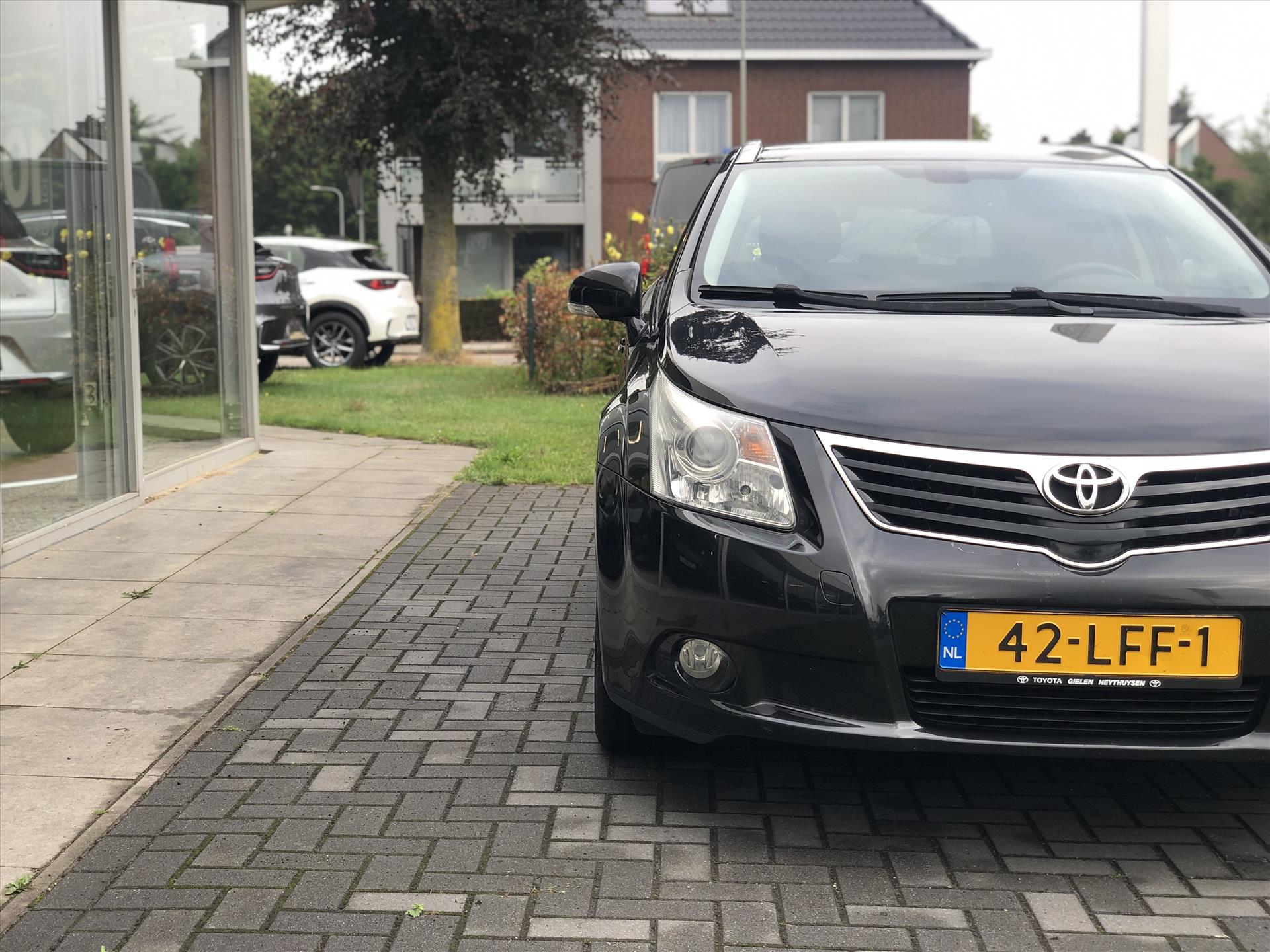 46761782-4.jpg